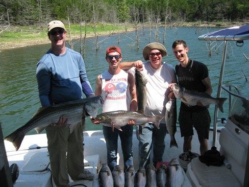 Nice Striped Bass